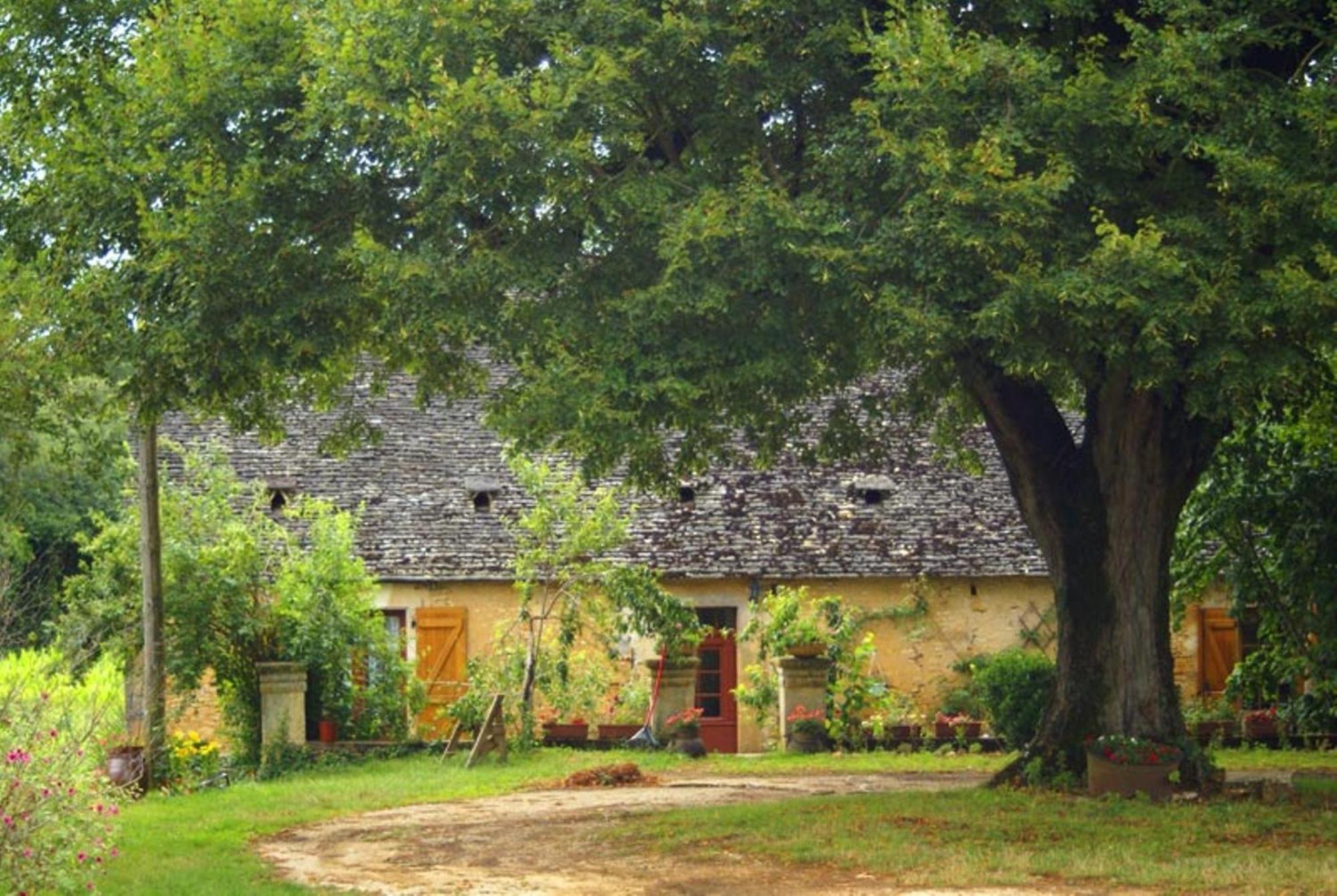 La Ferme Du Pech Bed & Breakfast Saint-Genies Exterior photo